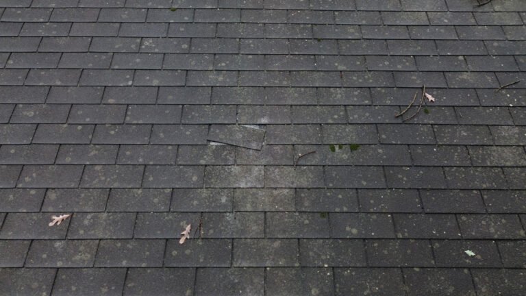 Damaged roof shingles with debris and moss.